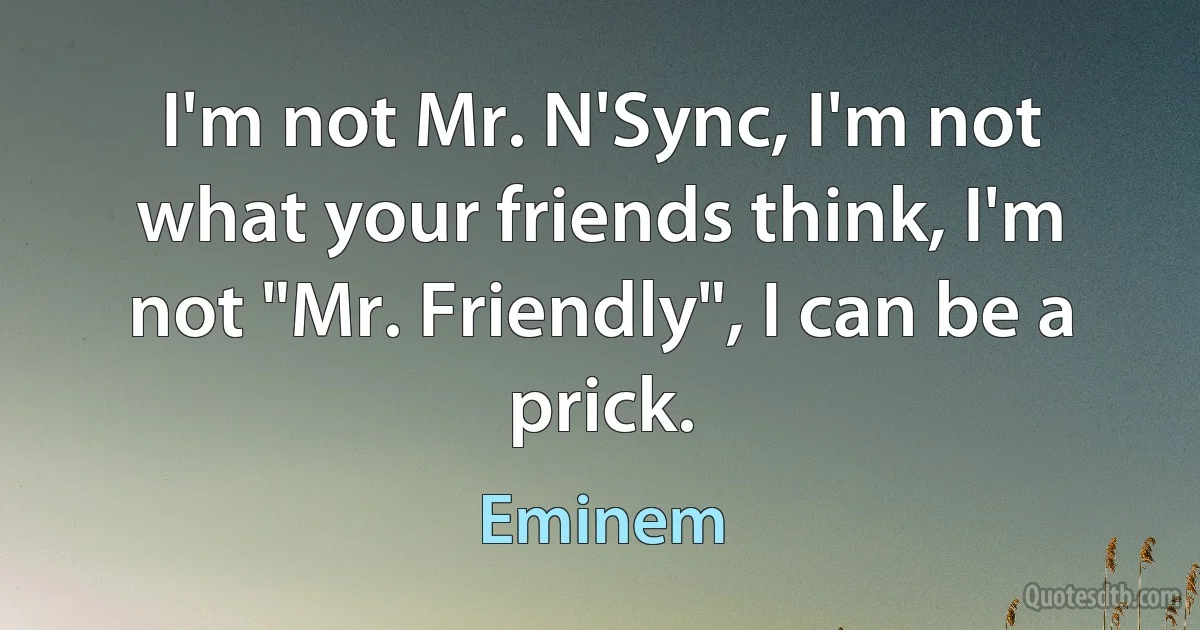 I'm not Mr. N'Sync, I'm not what your friends think, I'm not "Mr. Friendly", I can be a prick. (Eminem)