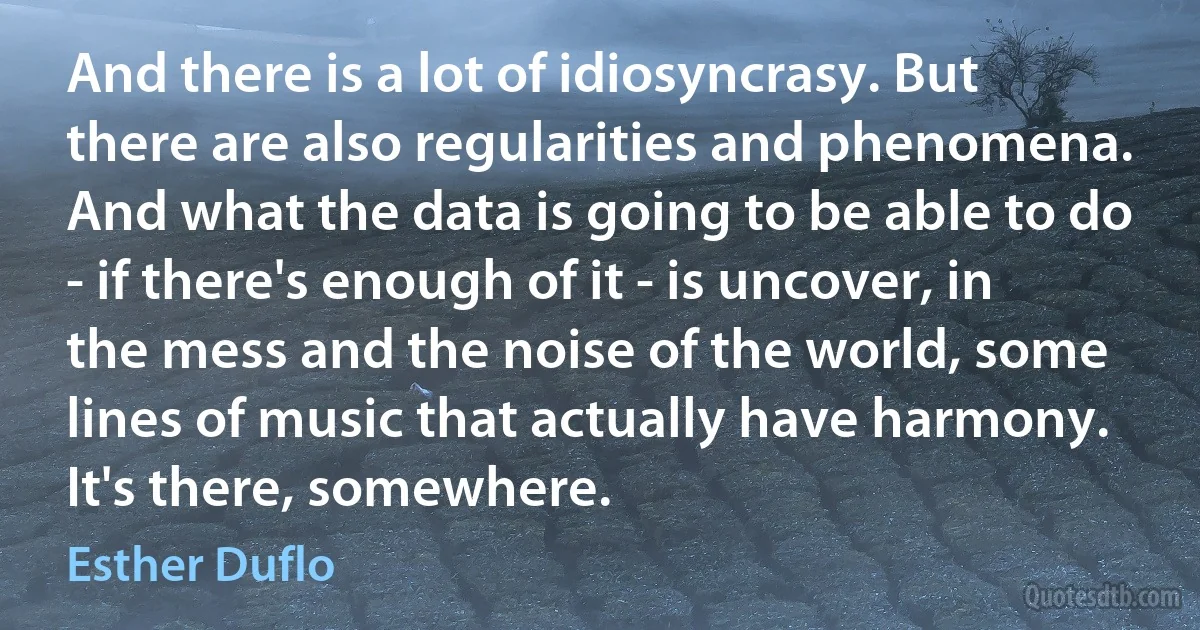 And there is a lot of idiosyncrasy. But there are also regularities and phenomena. And what the data is going to be able to do - if there's enough of it - is uncover, in the mess and the noise of the world, some lines of music that actually have harmony. It's there, somewhere. (Esther Duflo)