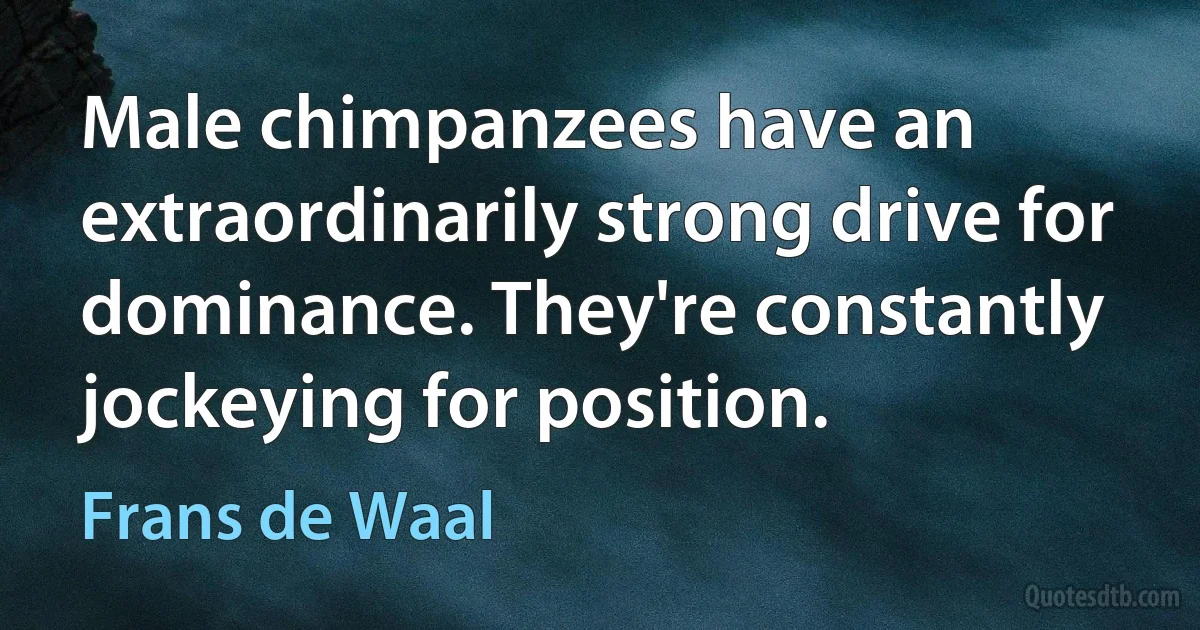 Male chimpanzees have an extraordinarily strong drive for dominance. They're constantly jockeying for position. (Frans de Waal)