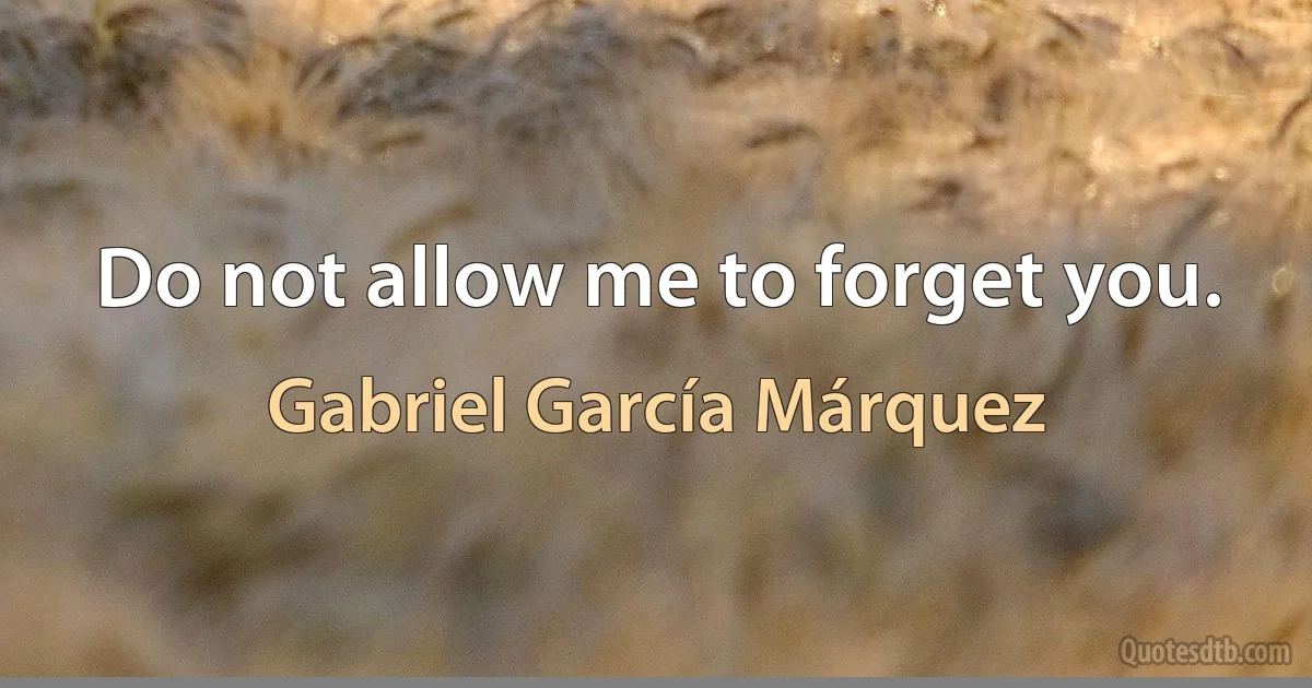 Do not allow me to forget you. (Gabriel García Márquez)