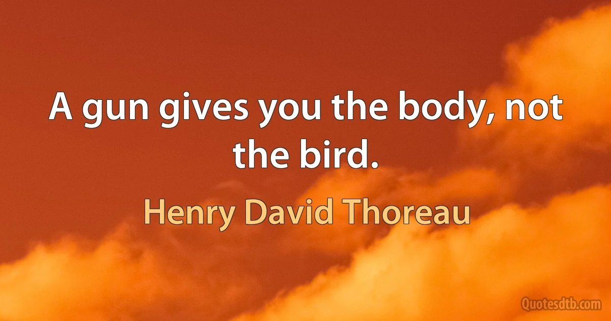 A gun gives you the body, not the bird. (Henry David Thoreau)