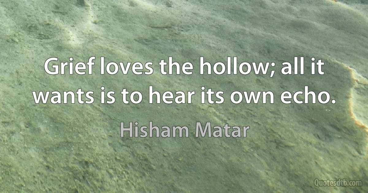 Grief loves the hollow; all it wants is to hear its own echo. (Hisham Matar)