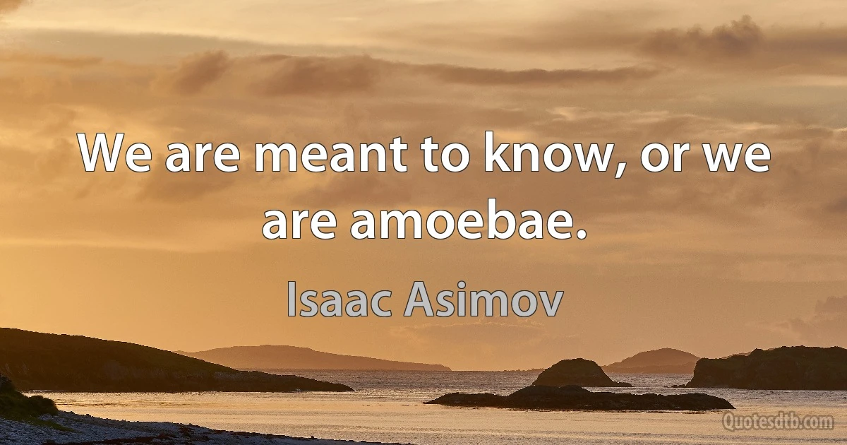 We are meant to know, or we are amoebae. (Isaac Asimov)