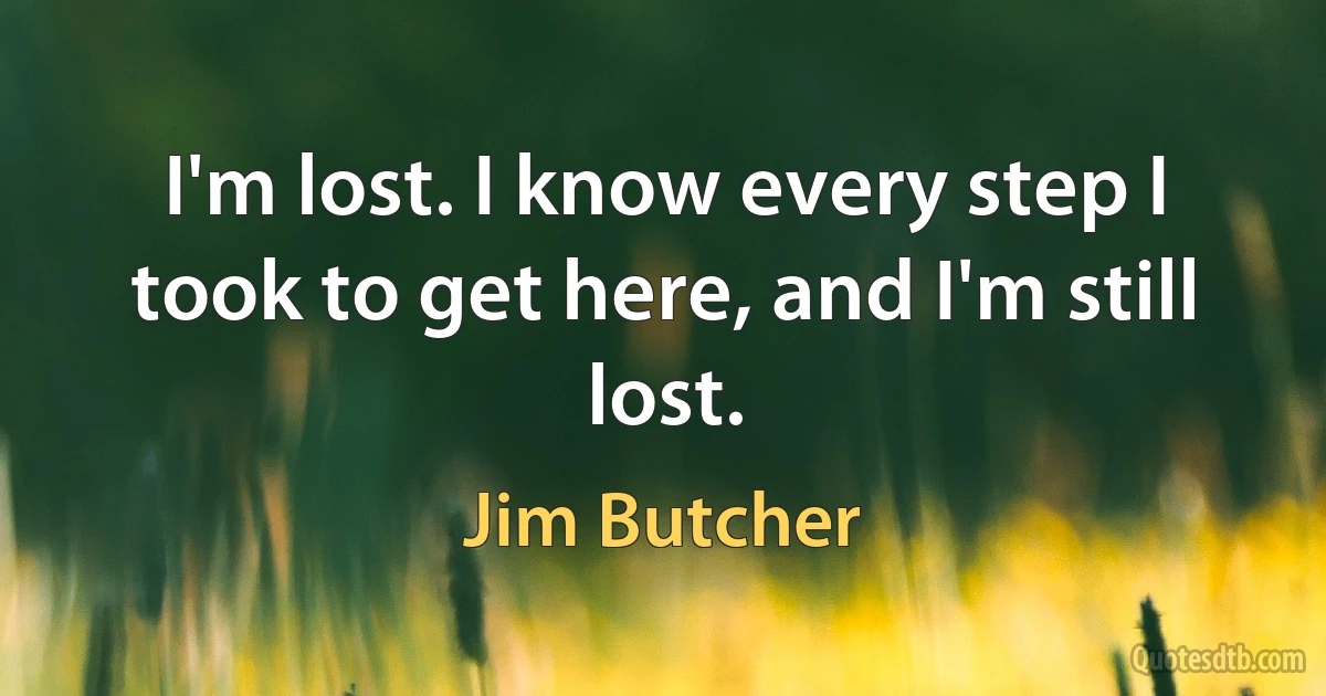 I'm lost. I know every step I took to get here, and I'm still lost. (Jim Butcher)