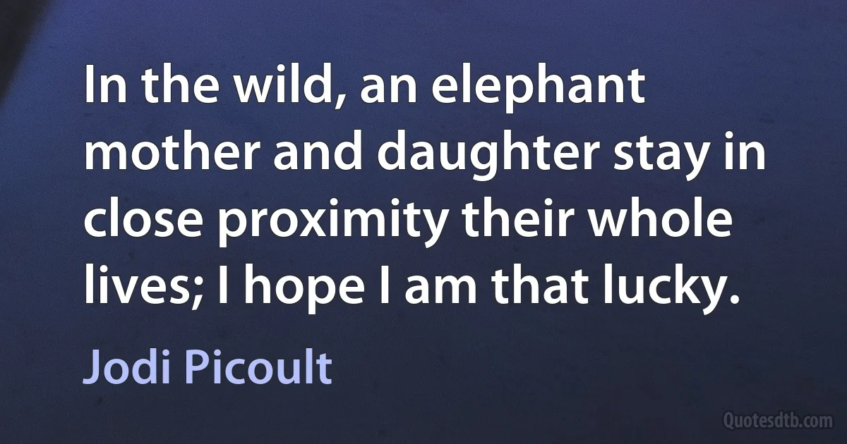 In the wild, an elephant mother and daughter stay in close proximity their whole lives; I hope I am that lucky. (Jodi Picoult)