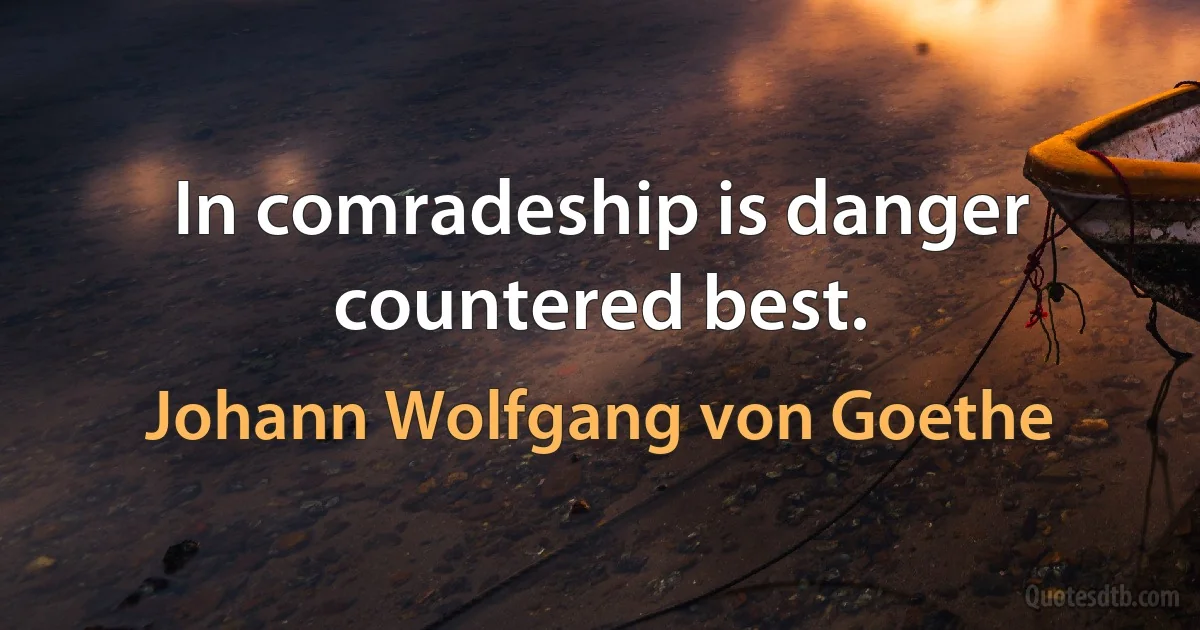 In comradeship is danger countered best. (Johann Wolfgang von Goethe)