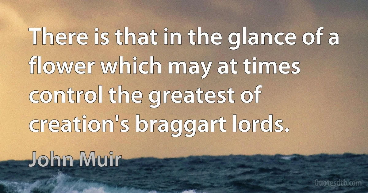 There is that in the glance of a flower which may at times control the greatest of creation's braggart lords. (John Muir)