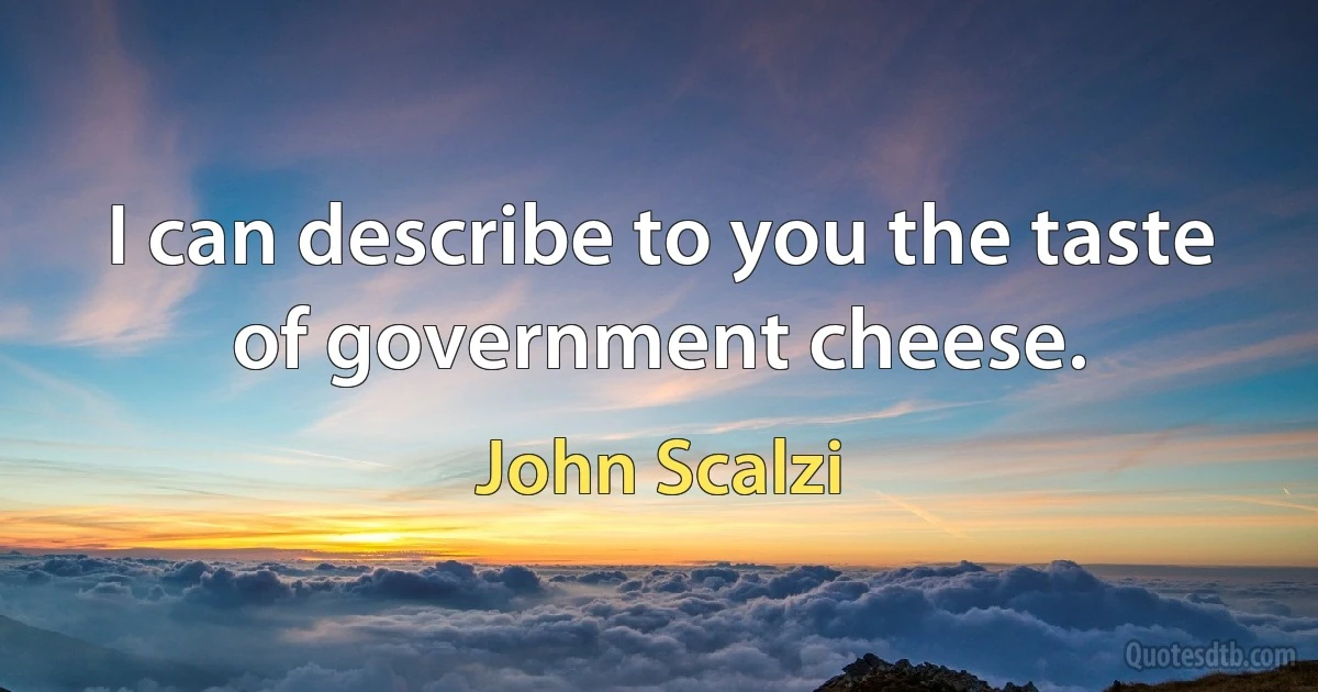 I can describe to you the taste of government cheese. (John Scalzi)