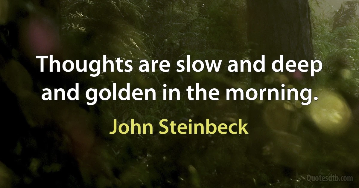 Thoughts are slow and deep and golden in the morning. (John Steinbeck)