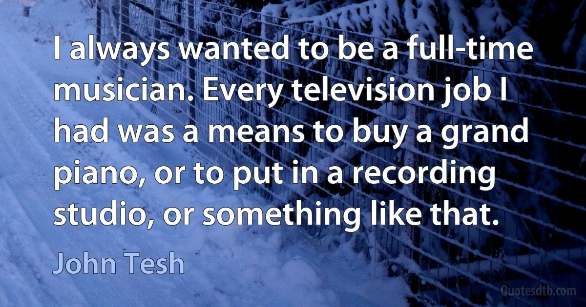 I always wanted to be a full-time musician. Every television job I had was a means to buy a grand piano, or to put in a recording studio, or something like that. (John Tesh)