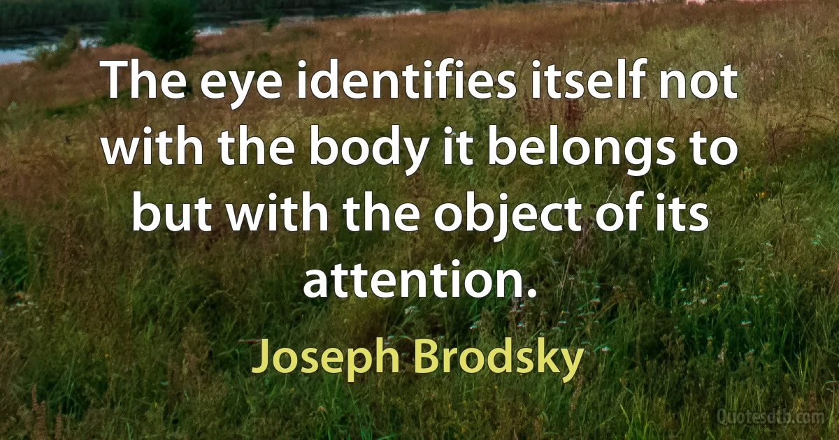 The eye identifies itself not with the body it belongs to but with the object of its attention. (Joseph Brodsky)