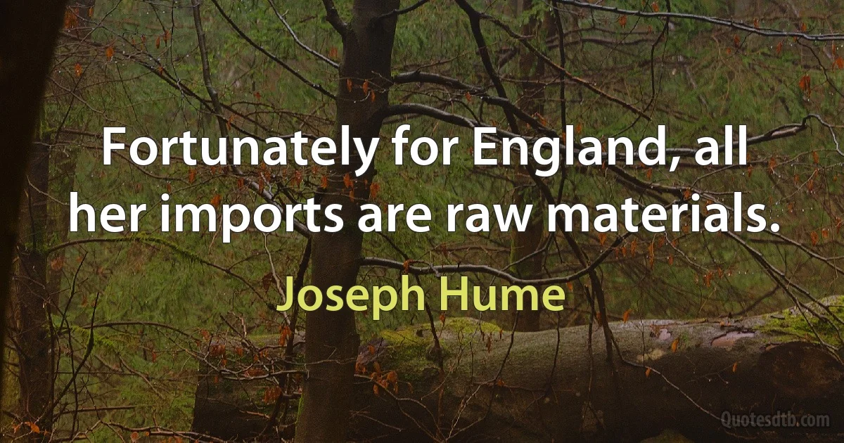 Fortunately for England, all her imports are raw materials. (Joseph Hume)