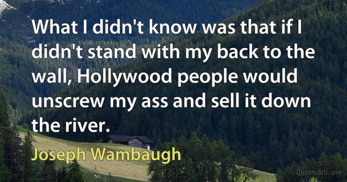 What I didn't know was that if I didn't stand with my back to the wall, Hollywood people would unscrew my ass and sell it down the river. (Joseph Wambaugh)