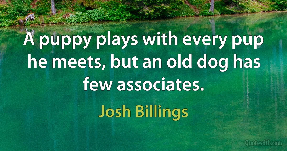 A puppy plays with every pup he meets, but an old dog has few associates. (Josh Billings)