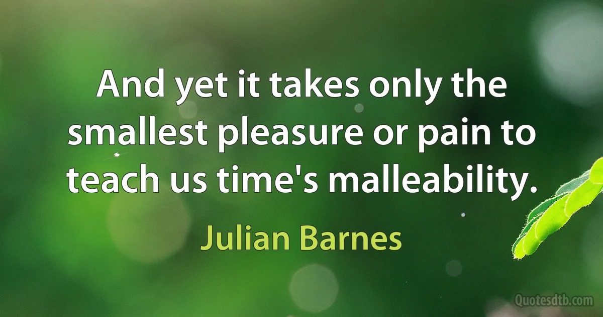 And yet it takes only the smallest pleasure or pain to teach us time's malleability. (Julian Barnes)