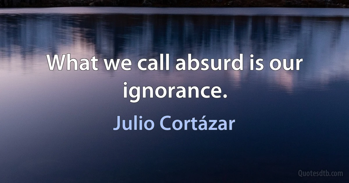 What we call absurd is our ignorance. (Julio Cortázar)