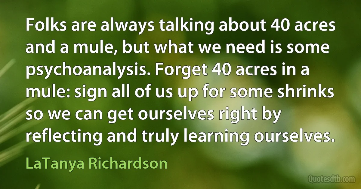 Folks are always talking about 40 acres and a mule, but what we need is some psychoanalysis. Forget 40 acres in a mule: sign all of us up for some shrinks so we can get ourselves right by reflecting and truly learning ourselves. (LaTanya Richardson)