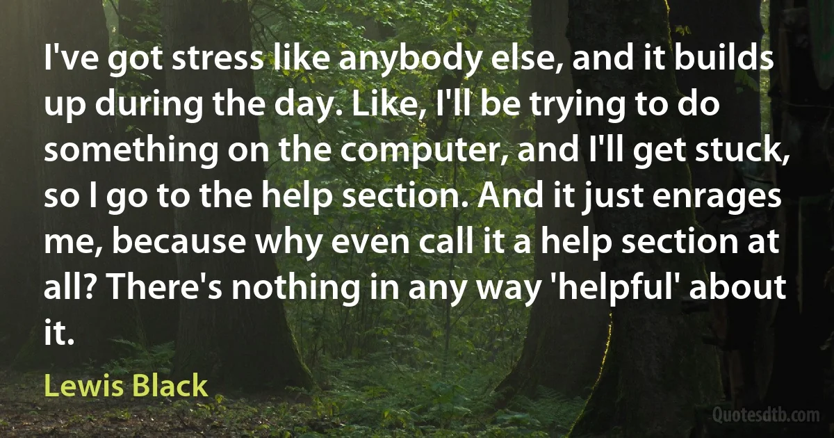 I've got stress like anybody else, and it builds up during the day. Like, I'll be trying to do something on the computer, and I'll get stuck, so I go to the help section. And it just enrages me, because why even call it a help section at all? There's nothing in any way 'helpful' about it. (Lewis Black)