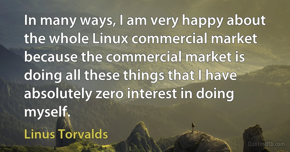 In many ways, I am very happy about the whole Linux commercial market because the commercial market is doing all these things that I have absolutely zero interest in doing myself. (Linus Torvalds)