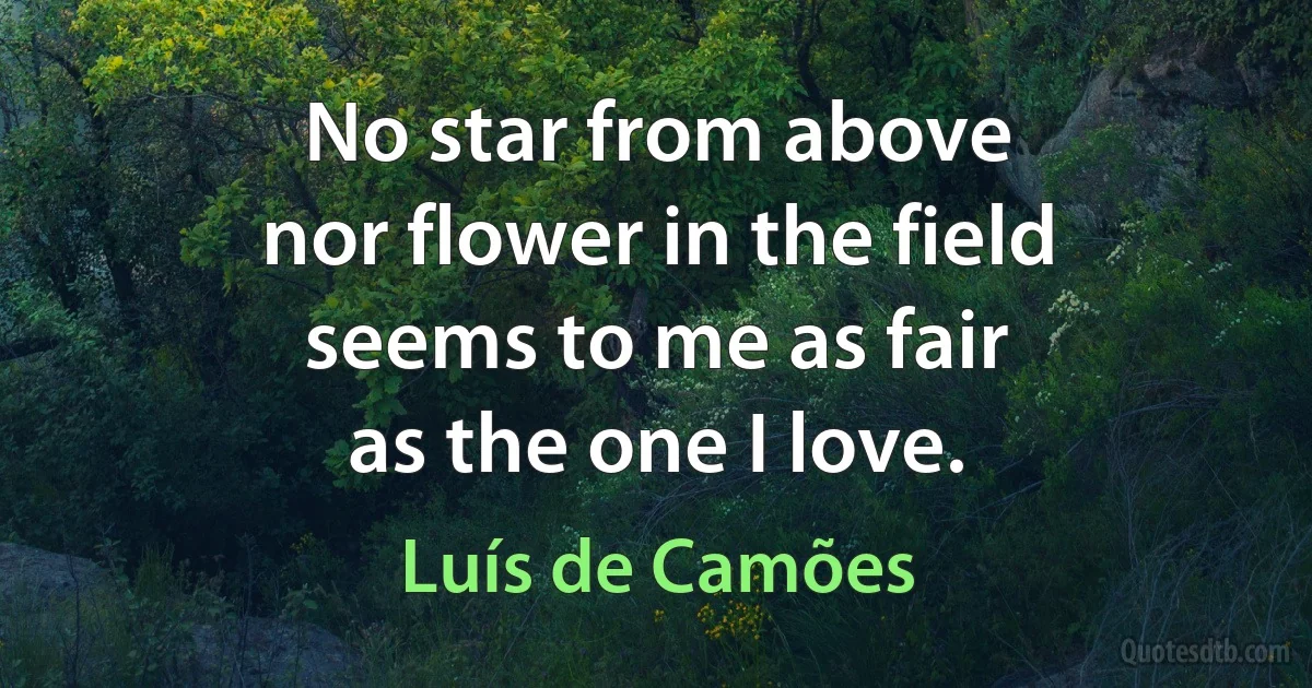 No star from above
nor flower in the field
seems to me as fair
as the one I love. (Luís de Camões)