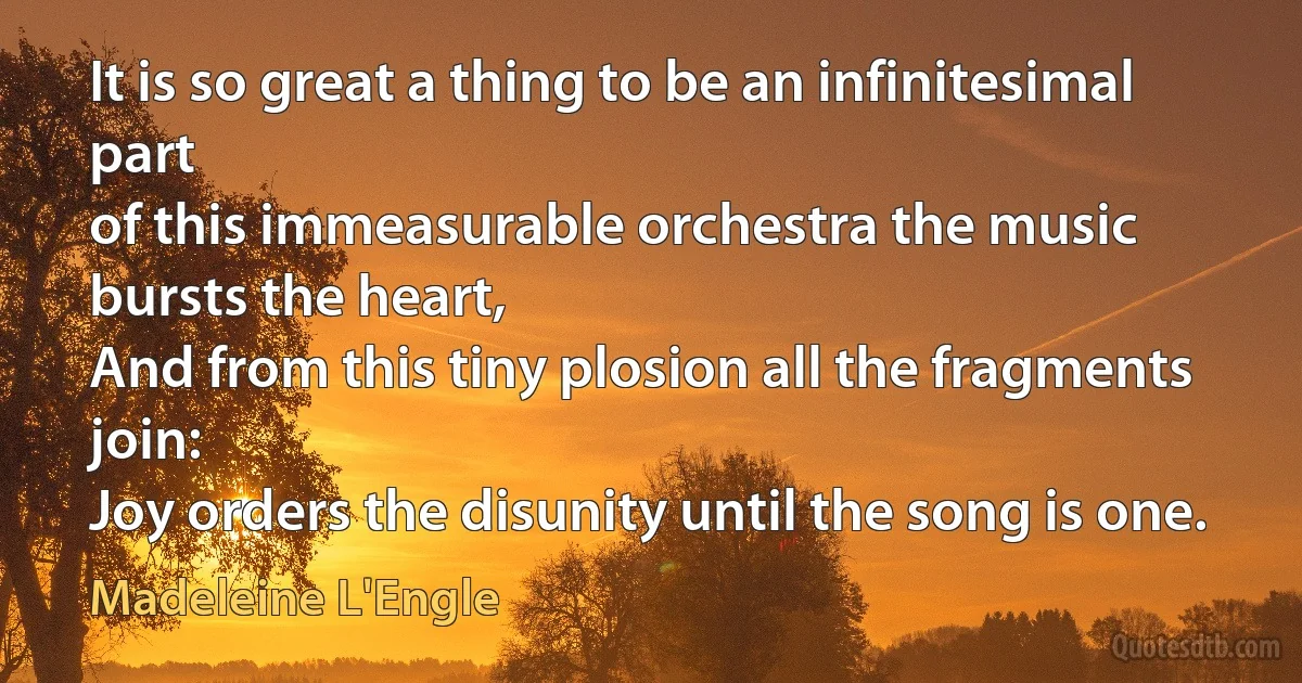 It is so great a thing to be an infinitesimal part
of this immeasurable orchestra the music bursts the heart,
And from this tiny plosion all the fragments join:
Joy orders the disunity until the song is one. (Madeleine L'Engle)