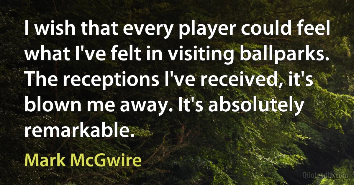 I wish that every player could feel what I've felt in visiting ballparks. The receptions I've received, it's blown me away. It's absolutely remarkable. (Mark McGwire)