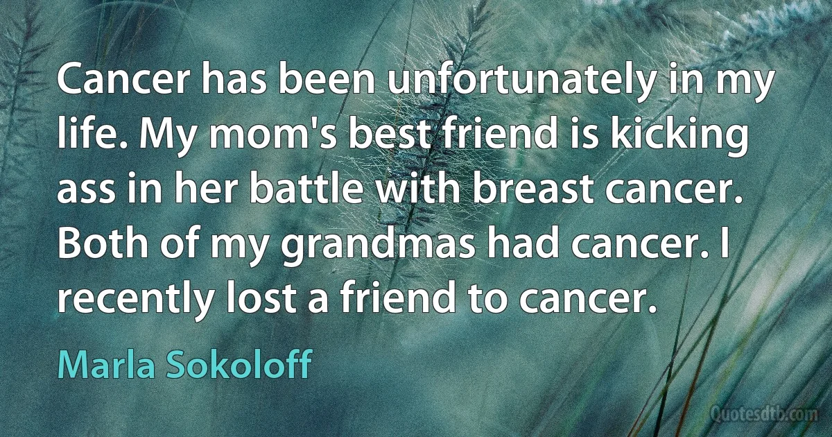 Cancer has been unfortunately in my life. My mom's best friend is kicking ass in her battle with breast cancer. Both of my grandmas had cancer. I recently lost a friend to cancer. (Marla Sokoloff)