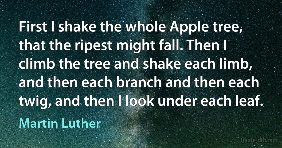 First I shake the whole Apple tree, that the ripest might fall. Then I climb the tree and shake each limb, and then each branch and then each twig, and then I look under each leaf. (Martin Luther)