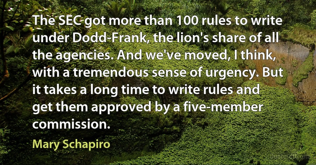 The SEC got more than 100 rules to write under Dodd-Frank, the lion's share of all the agencies. And we've moved, I think, with a tremendous sense of urgency. But it takes a long time to write rules and get them approved by a five-member commission. (Mary Schapiro)