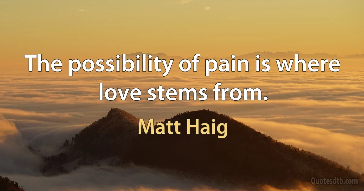 The possibility of pain is where love stems from. (Matt Haig)