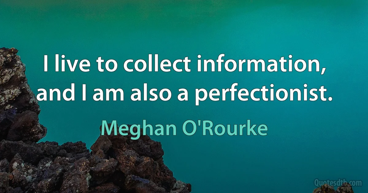 I live to collect information, and I am also a perfectionist. (Meghan O'Rourke)