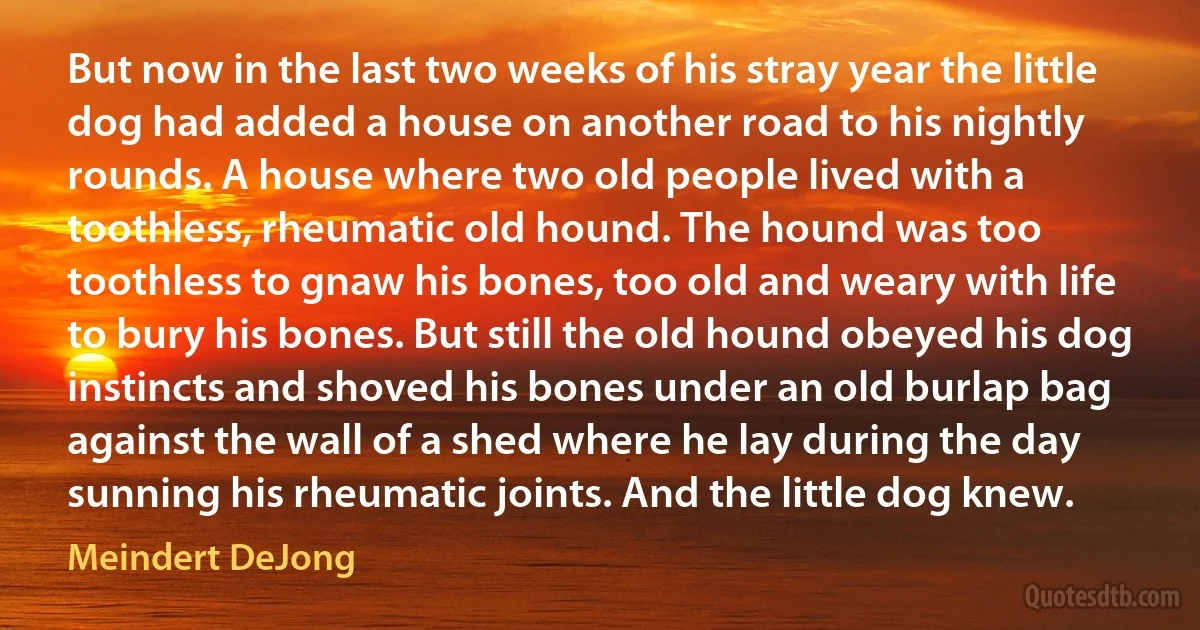 But now in the last two weeks of his stray year the little dog had added a house on another road to his nightly rounds. A house where two old people lived with a toothless, rheumatic old hound. The hound was too toothless to gnaw his bones, too old and weary with life to bury his bones. But still the old hound obeyed his dog instincts and shoved his bones under an old burlap bag against the wall of a shed where he lay during the day sunning his rheumatic joints. And the little dog knew. (Meindert DeJong)