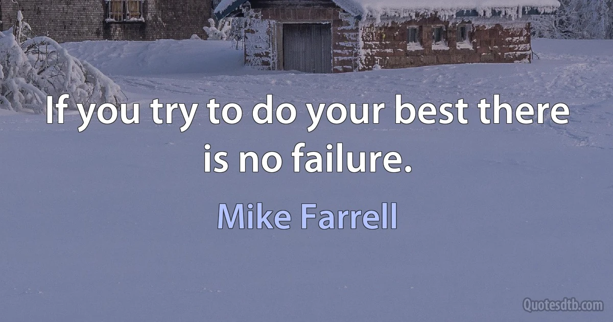 If you try to do your best there is no failure. (Mike Farrell)