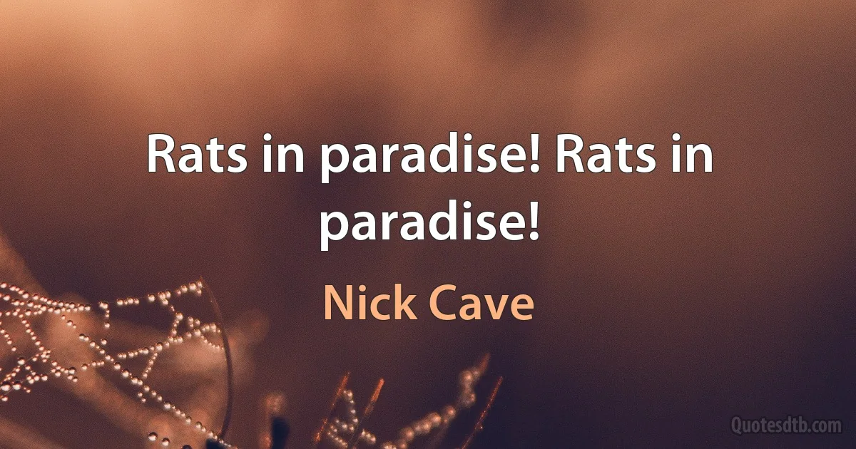 Rats in paradise! Rats in paradise! (Nick Cave)