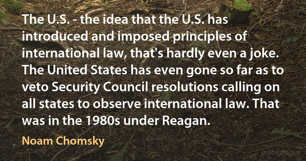 The U.S. - the idea that the U.S. has introduced and imposed principles of international law, that's hardly even a joke. The United States has even gone so far as to veto Security Council resolutions calling on all states to observe international law. That was in the 1980s under Reagan. (Noam Chomsky)