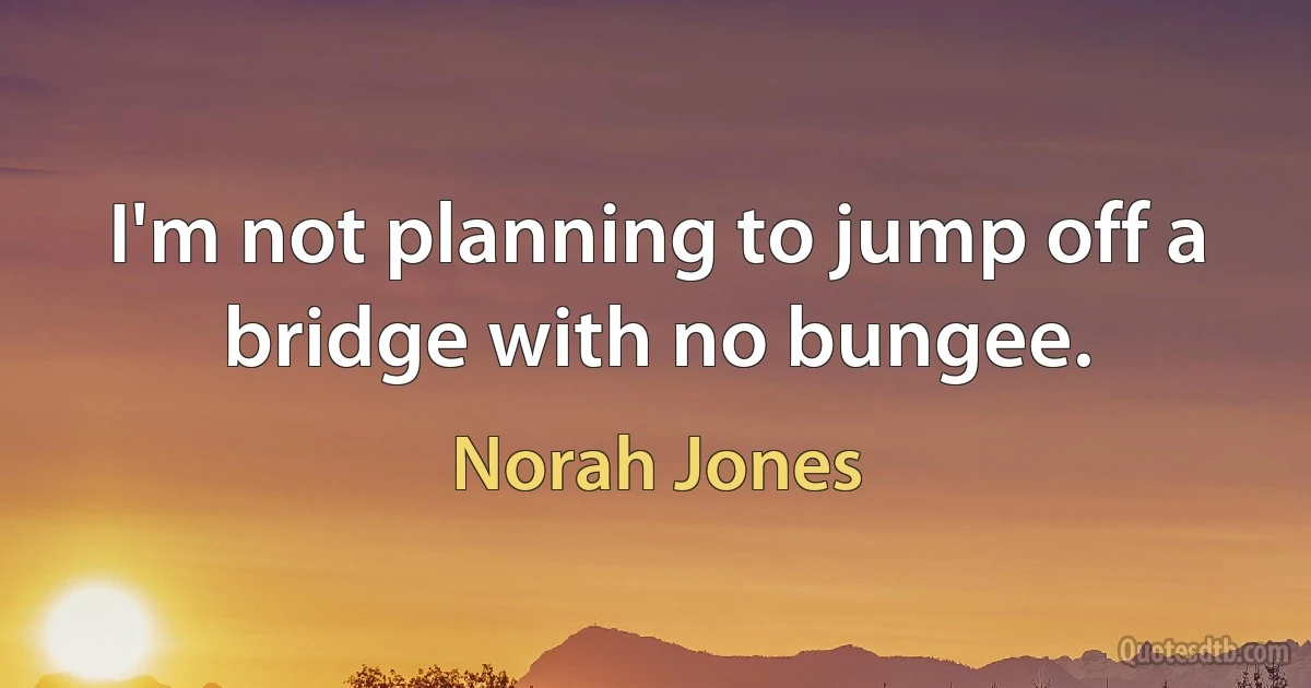 I'm not planning to jump off a bridge with no bungee. (Norah Jones)