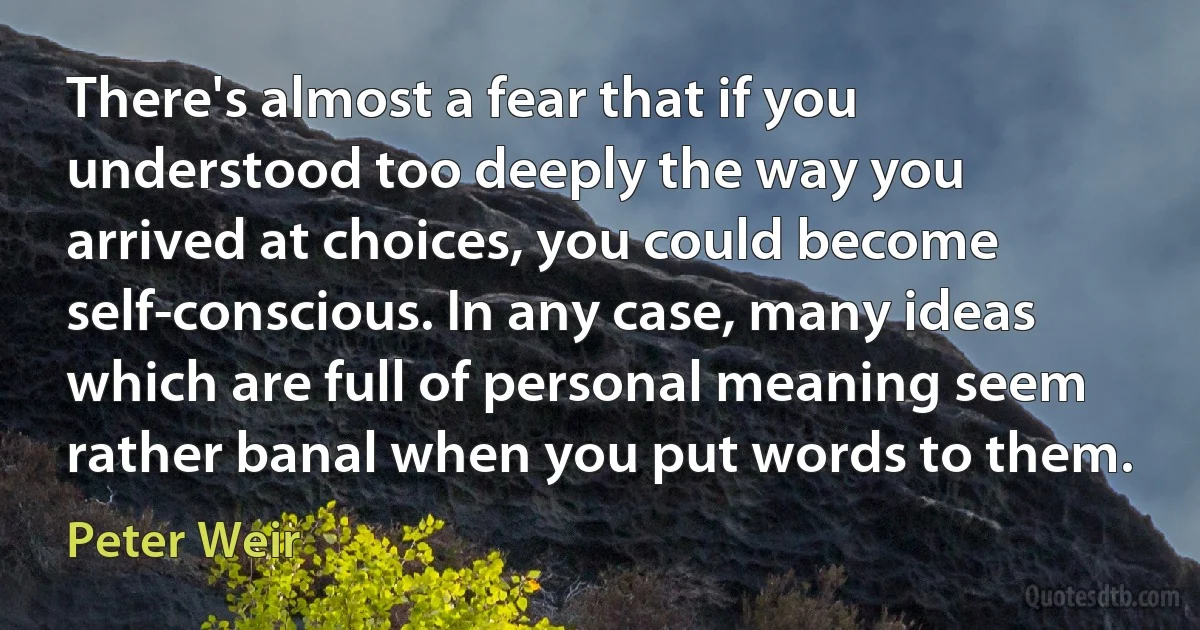 There's almost a fear that if you understood too deeply the way you arrived at choices, you could become self-conscious. In any case, many ideas which are full of personal meaning seem rather banal when you put words to them. (Peter Weir)