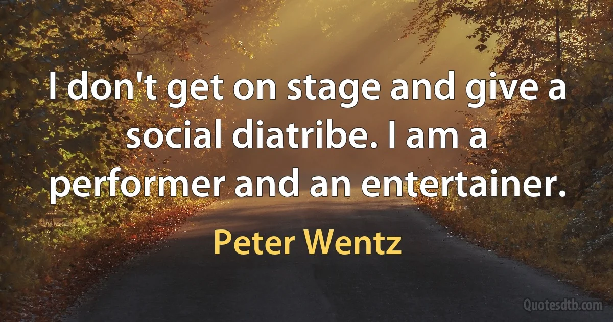 I don't get on stage and give a social diatribe. I am a performer and an entertainer. (Peter Wentz)