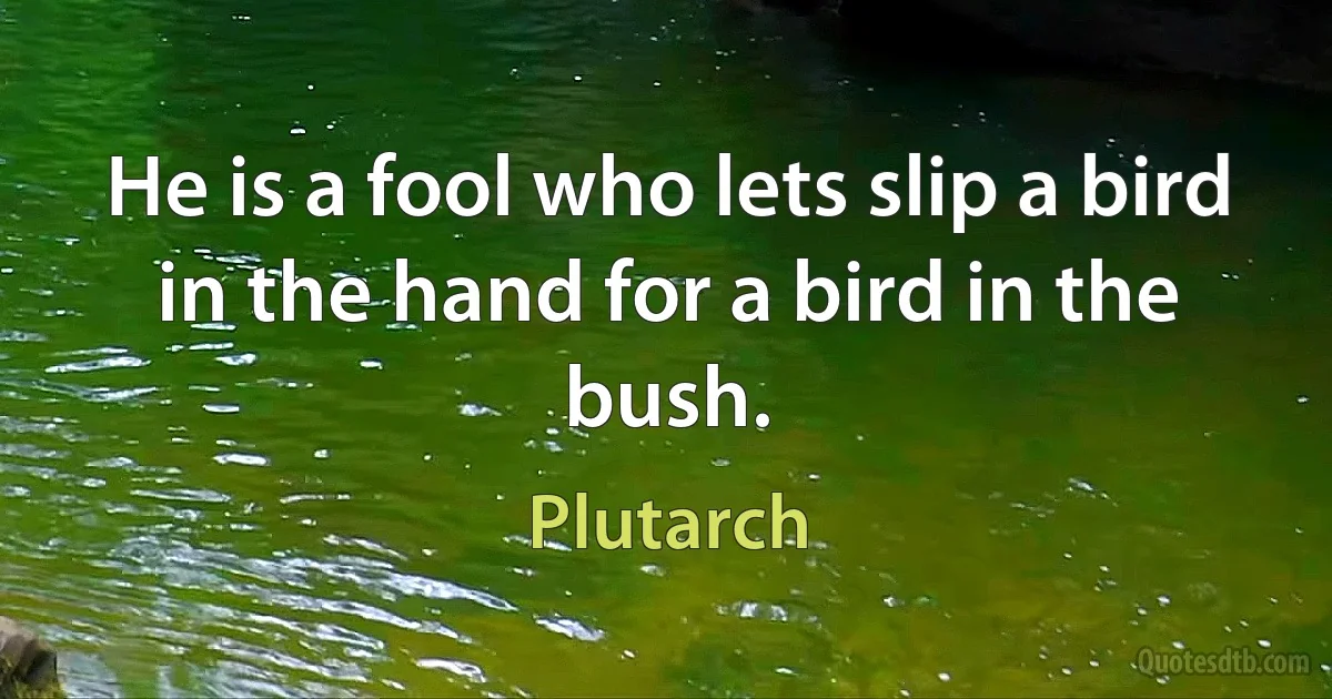 He is a fool who lets slip a bird in the hand for a bird in the bush. (Plutarch)