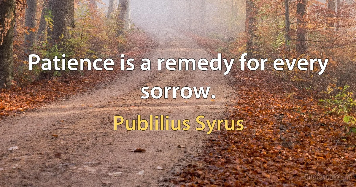 Patience is a remedy for every sorrow. (Publilius Syrus)