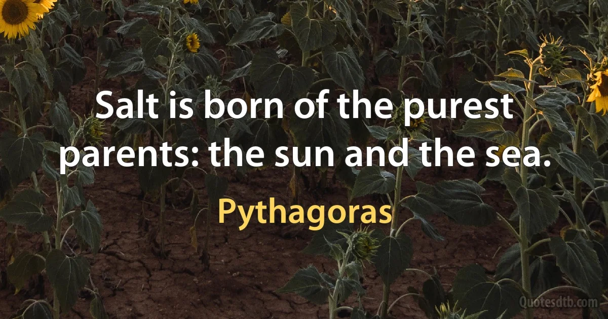 Salt is born of the purest parents: the sun and the sea. (Pythagoras)