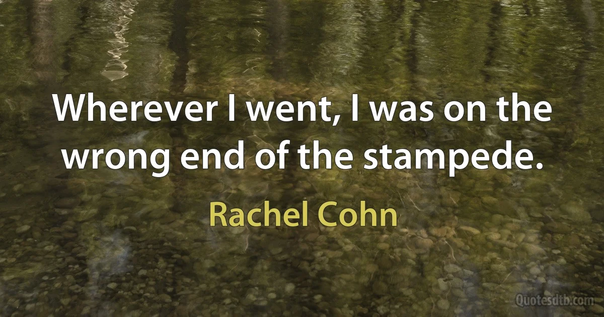 Wherever I went, I was on the wrong end of the stampede. (Rachel Cohn)