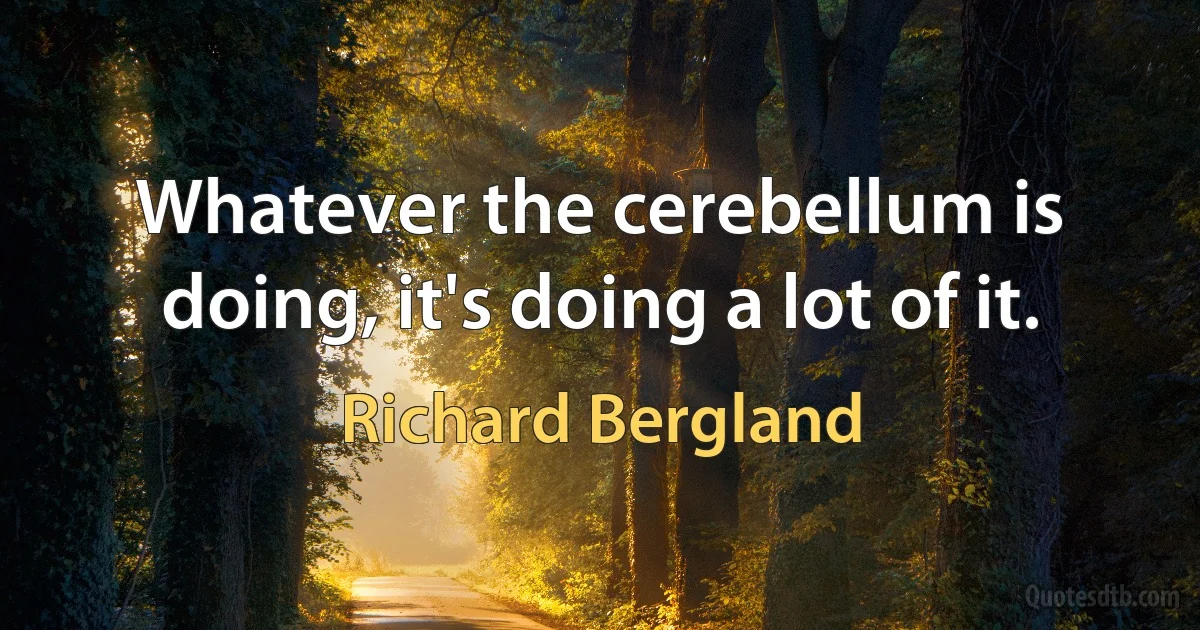 Whatever the cerebellum is doing, it's doing a lot of it. (Richard Bergland)