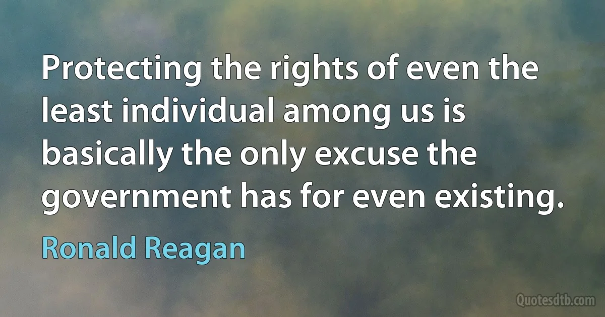 Protecting the rights of even the least individual among us is basically the only excuse the government has for even existing. (Ronald Reagan)