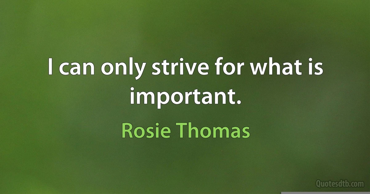 I can only strive for what is important. (Rosie Thomas)