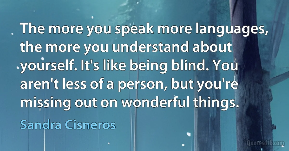 The more you speak more languages, the more you understand about yourself. It's like being blind. You aren't less of a person, but you're missing out on wonderful things. (Sandra Cisneros)