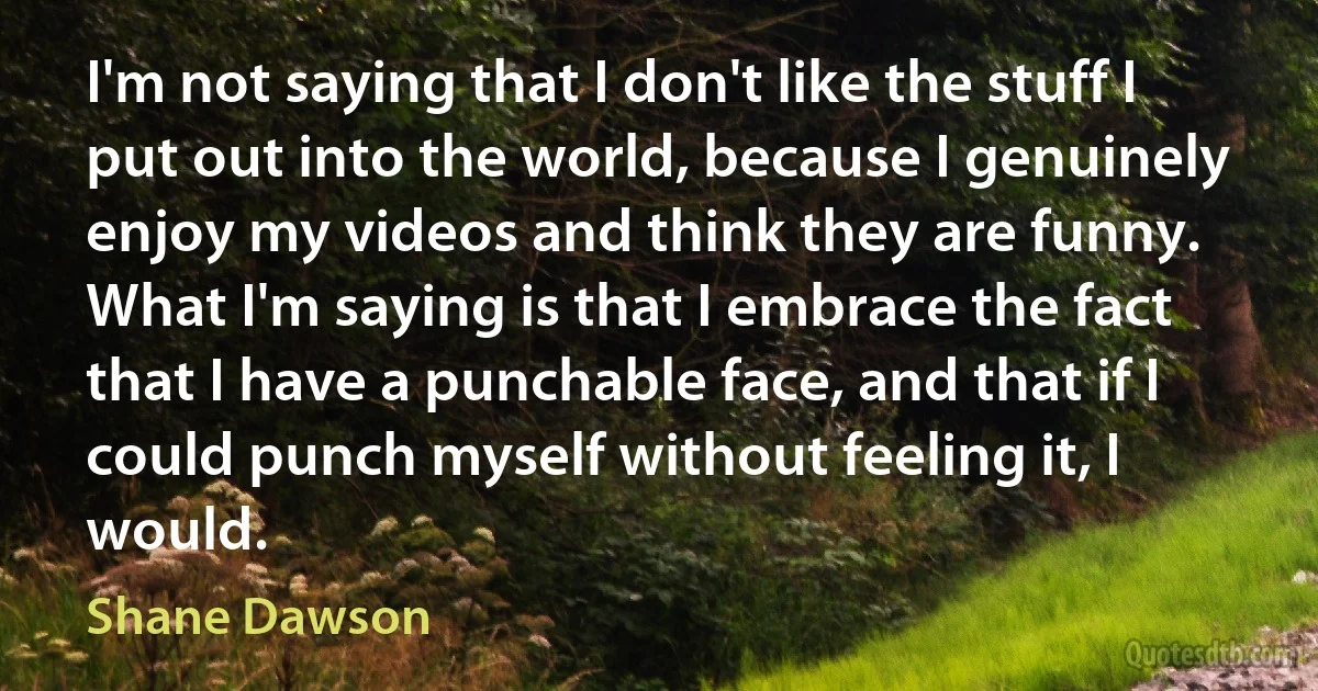 I'm not saying that I don't like the stuff I put out into the world, because I genuinely enjoy my videos and think they are funny. What I'm saying is that I embrace the fact that I have a punchable face, and that if I could punch myself without feeling it, I would. (Shane Dawson)