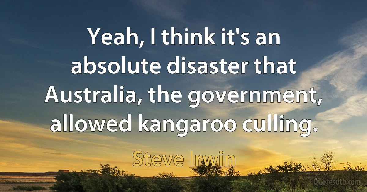 Yeah, I think it's an absolute disaster that Australia, the government, allowed kangaroo culling. (Steve Irwin)