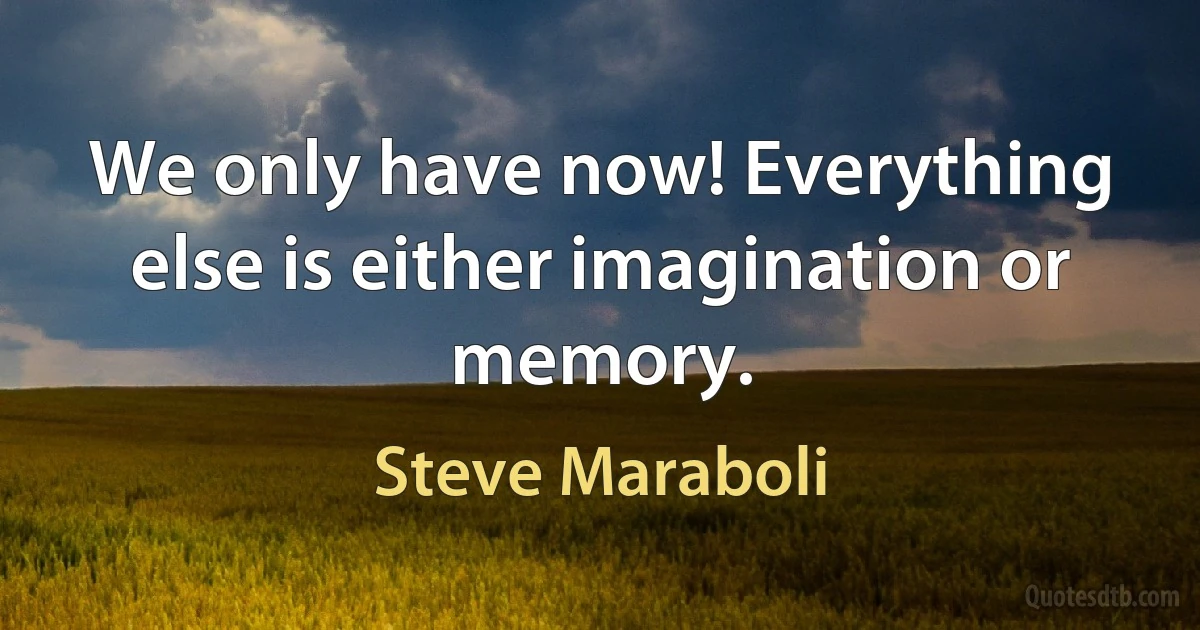 We only have now! Everything else is either imagination or memory. (Steve Maraboli)