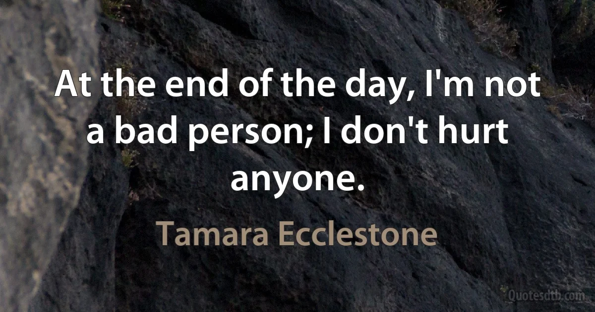 At the end of the day, I'm not a bad person; I don't hurt anyone. (Tamara Ecclestone)